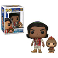 Aladdin: Aladdin of Agrabah with Abu