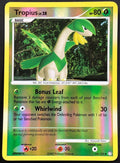 Tropius